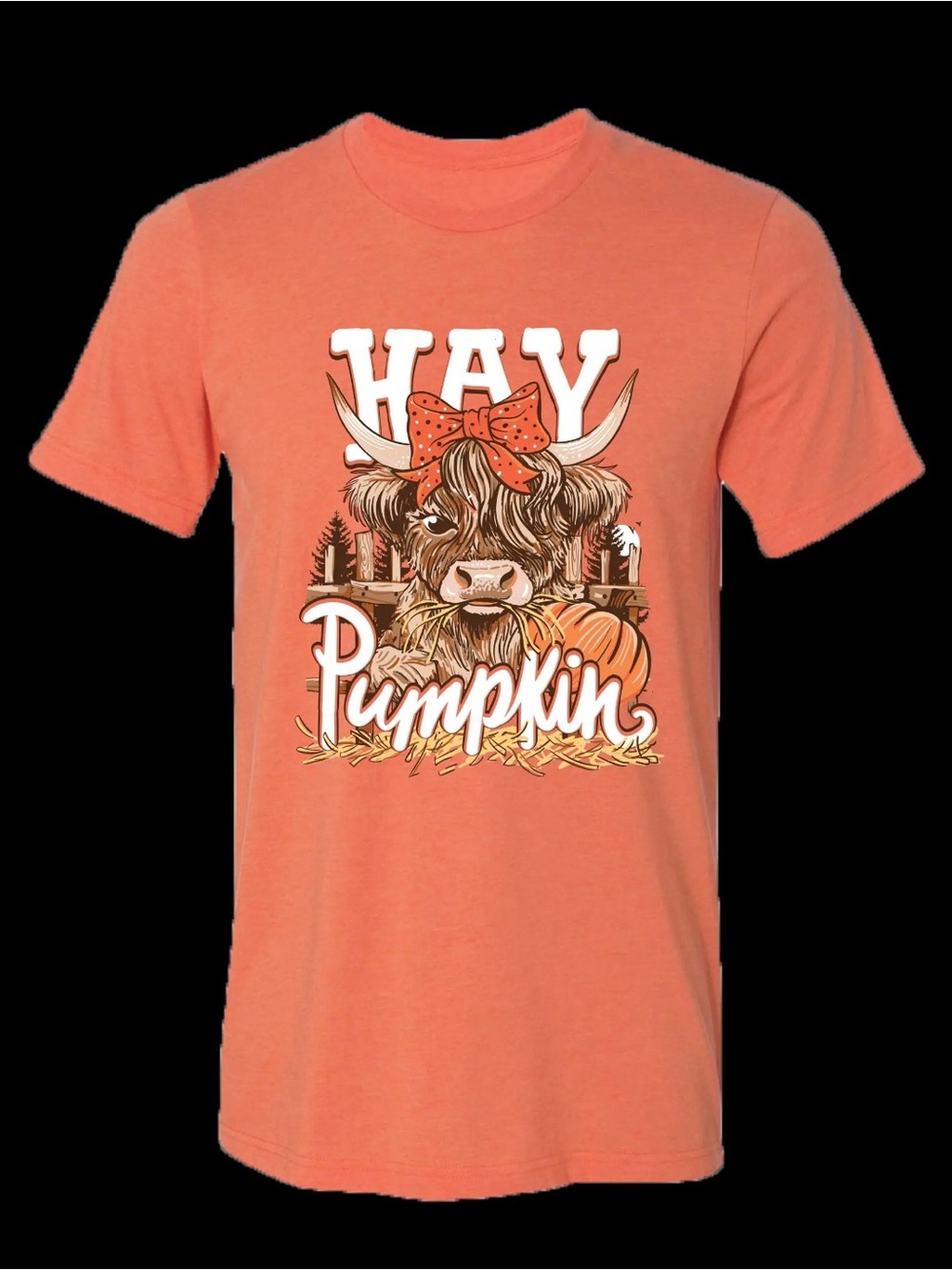 Hay Pumpkin Graphic T-Shirt - Orange